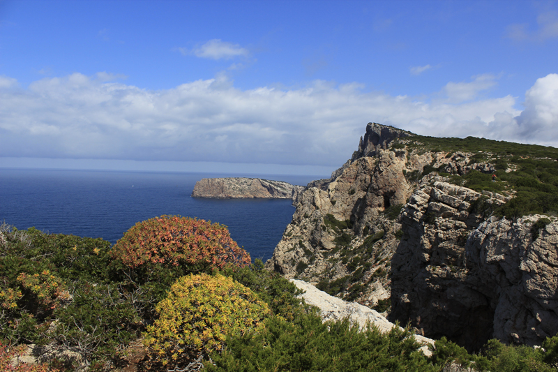 2016-04-27_114329 sardinien-2016.jpg - Wanderung am Capo Caccia